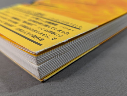 感じたら走りだせ 僕の政治家改革宣言