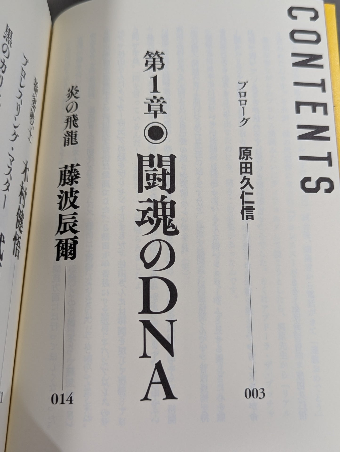 プロレス レジェンドスター懺悔録