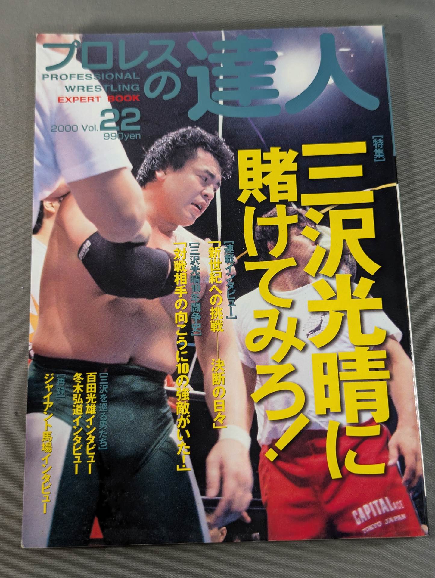 プロレスの達人 Vol.22 三沢光晴に賭けてみろ!