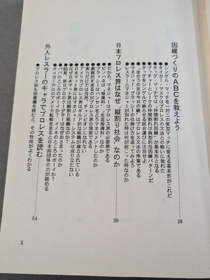 No one will tell you how to read Pro Wrestling