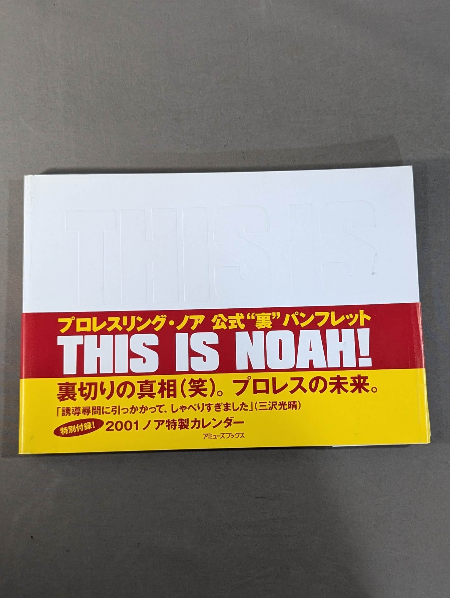 THIS IS NOAH! Pro-wrestling  Noah Official 'Behind' Pamphlet