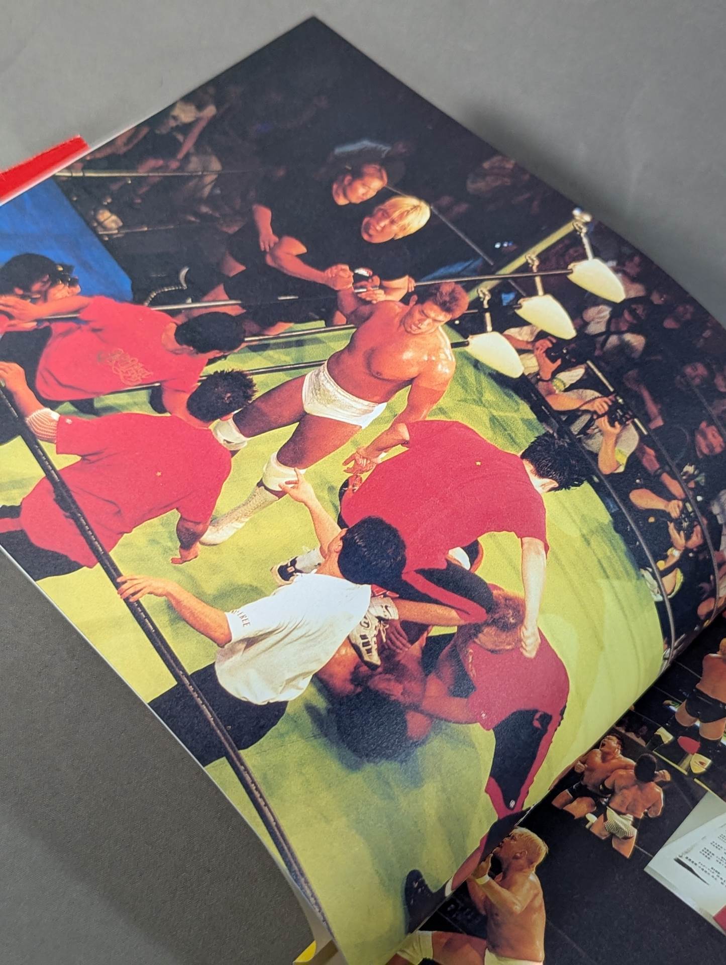 THIS IS NOAH! Pro-wrestling  Noah Official 'Behind' Pamphlet