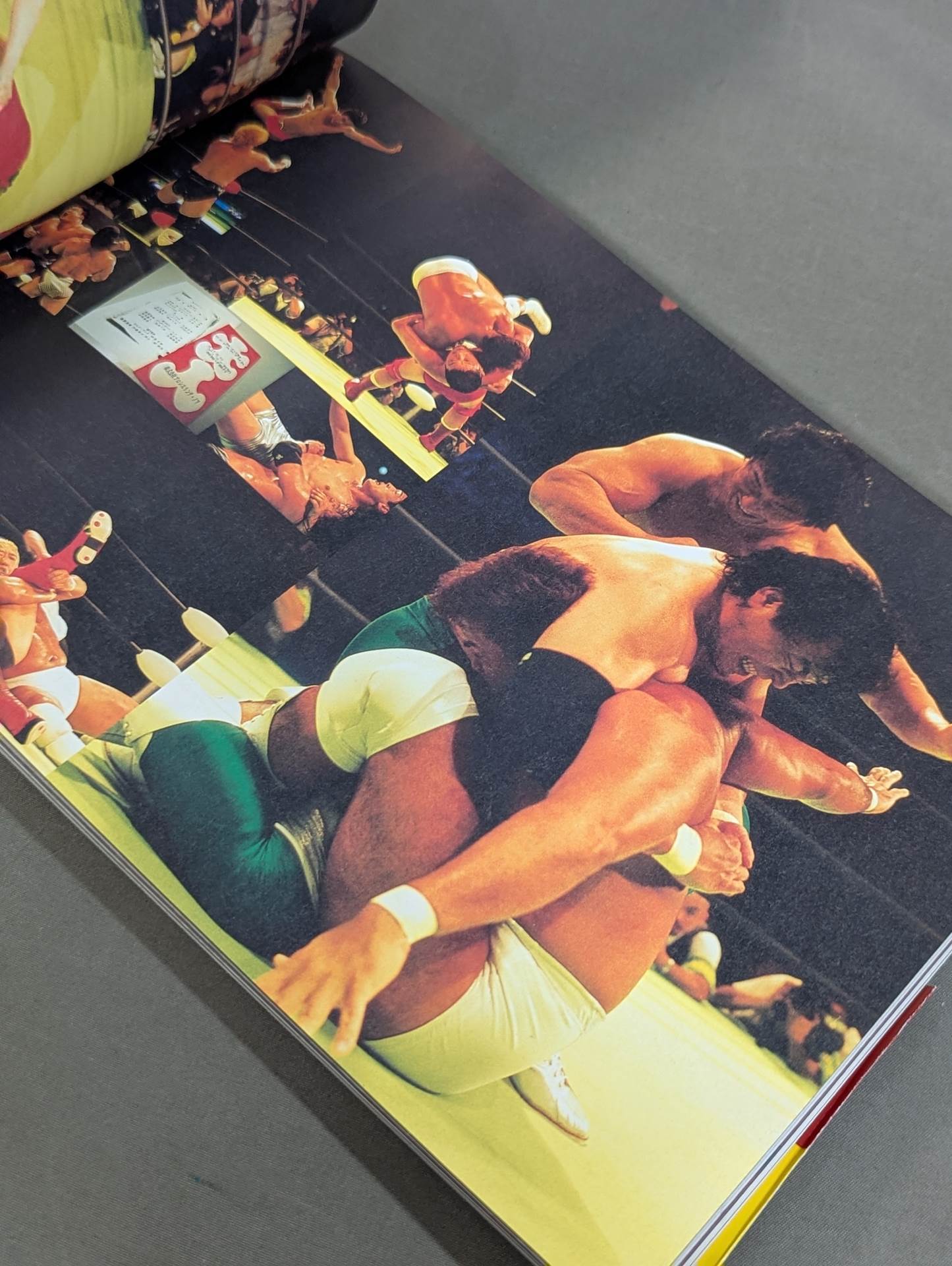 THIS IS NOAH! Pro-wrestling  Noah Official 'Behind' Pamphlet