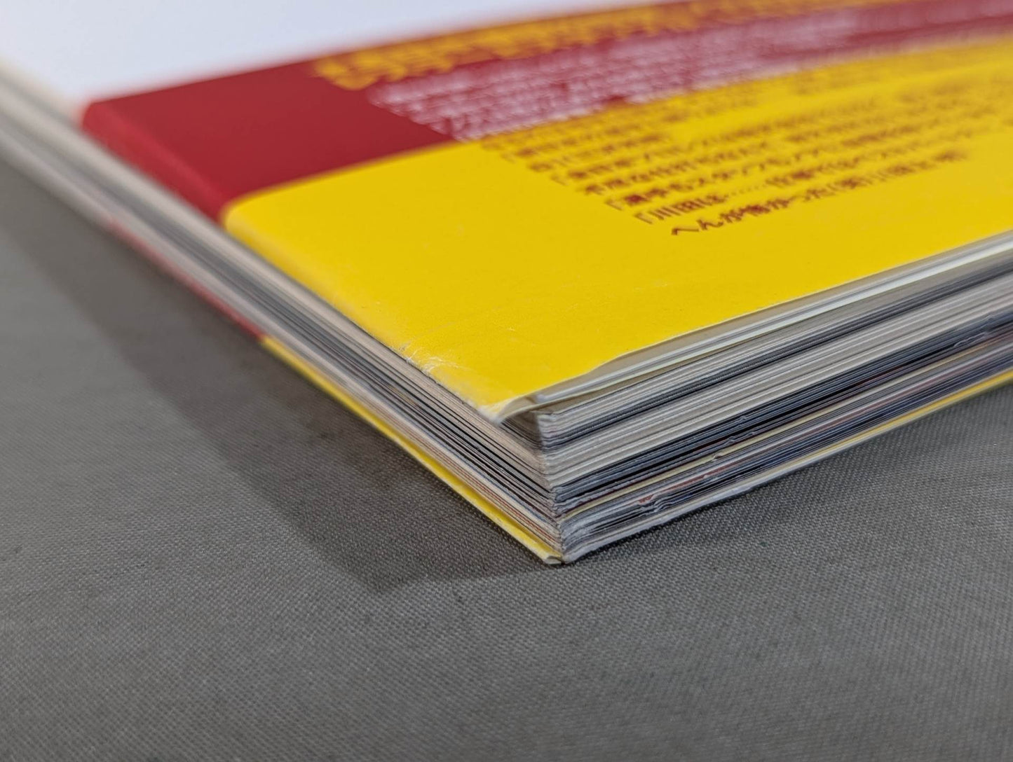 THIS IS NOAH! Pro-wrestling  Noah Official 'Behind' Pamphlet