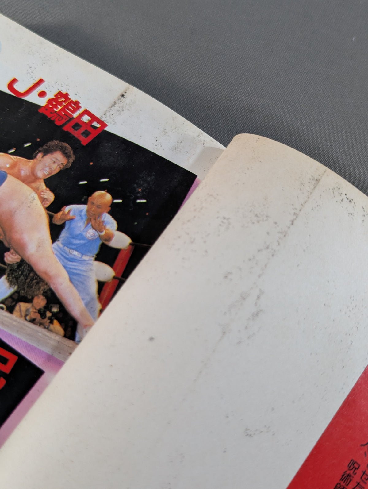 Pro Wrestling  Great Research 5000 years of men's bloody battle for the "strongest seat"! !