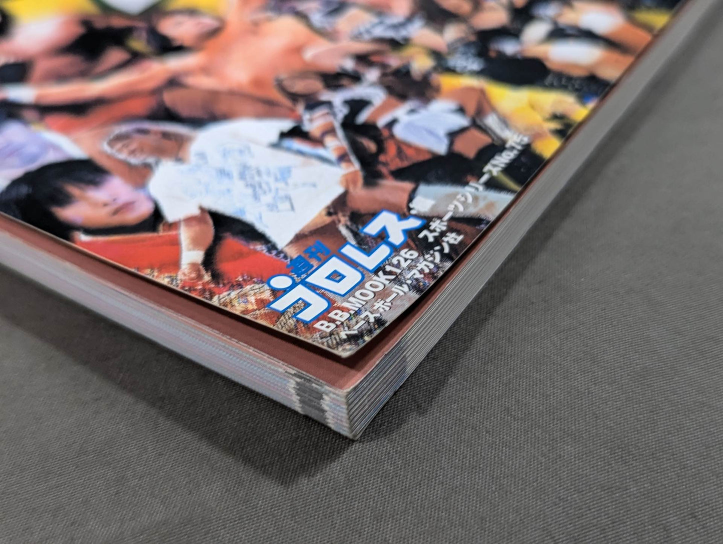 Pro Wrestler  Color Photo Directory 2000 [Mobile Version]
