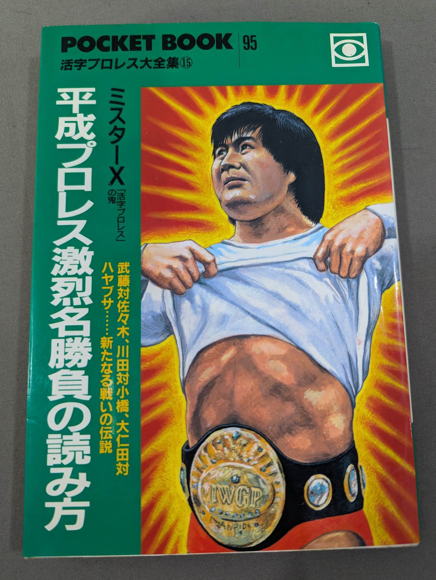 Pocket Book 95 Heisei Pro Wrestling How to Read Fierce Famous Matches