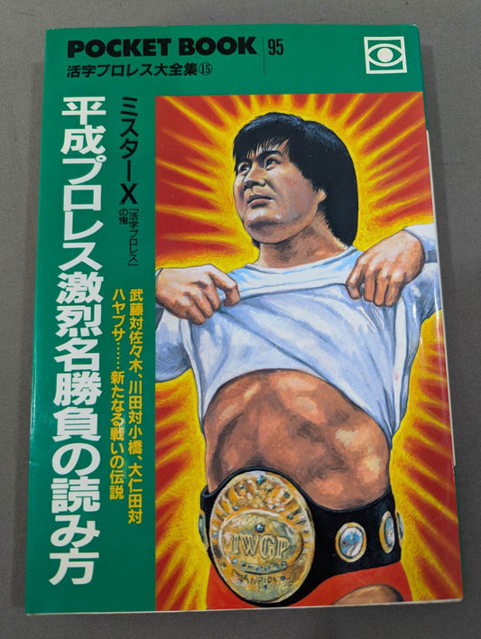 Pocket Book 95 Heisei Pro Wrestling How to Read Fierce Famous Matches