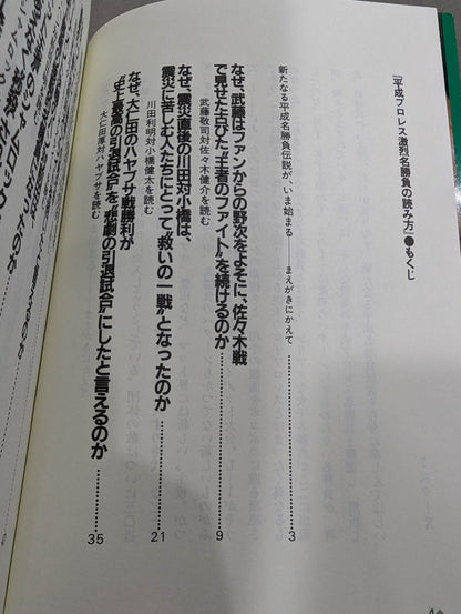 Pocket Book 95 Heisei Pro Wrestling How to Read Fierce Famous Matches