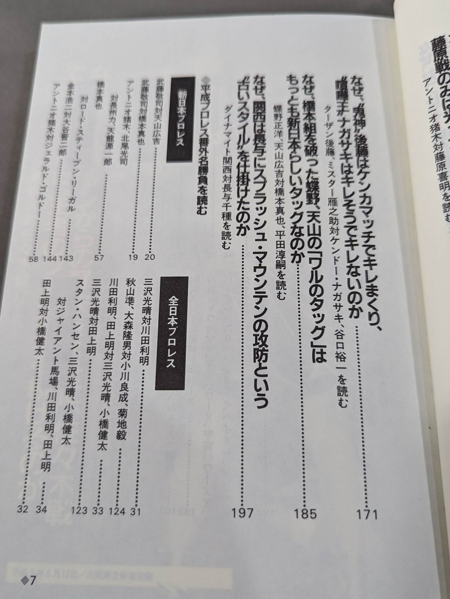 Pocket Book 95 Heisei Pro Wrestling How to Read Fierce Famous Matches