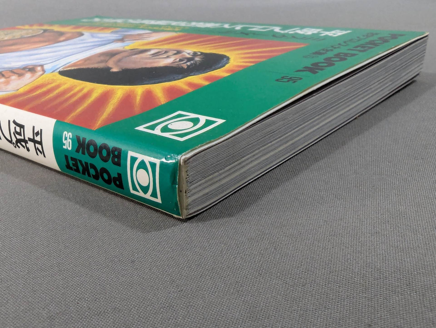 Pocket Book 95 Heisei Pro Wrestling How to Read Fierce Famous Matches
