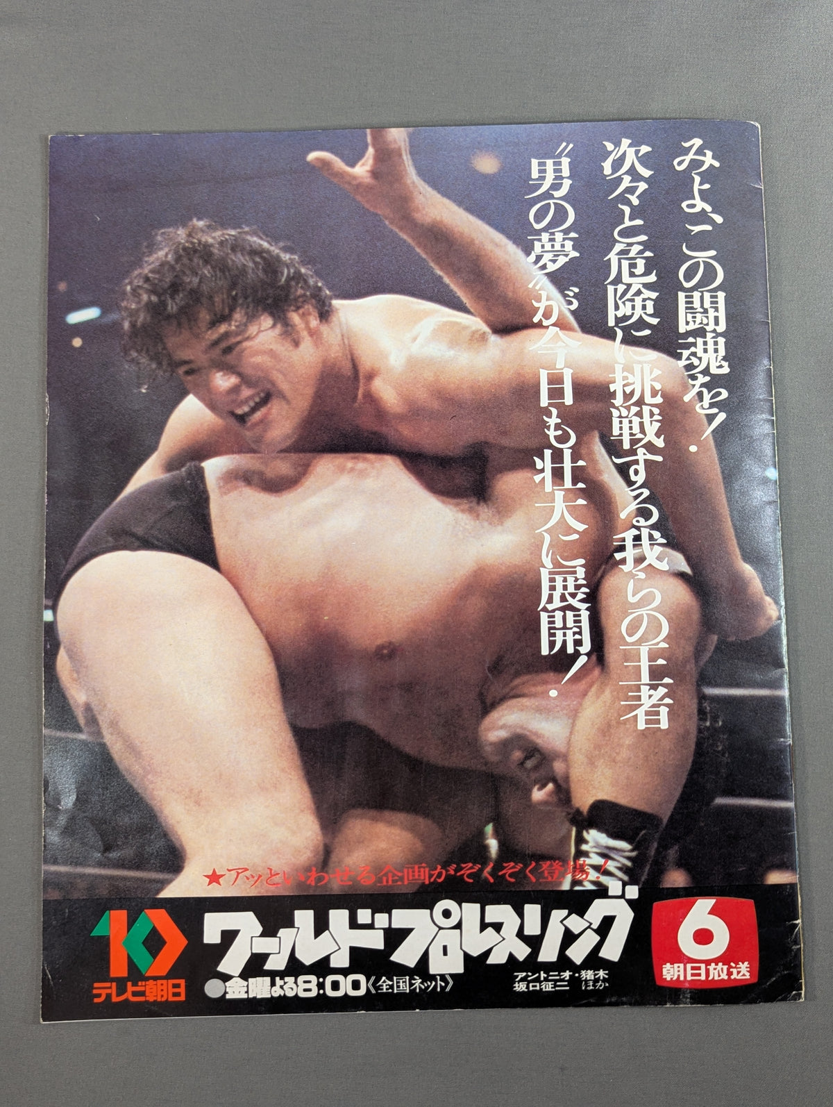 79ビッグファイトシリーズ