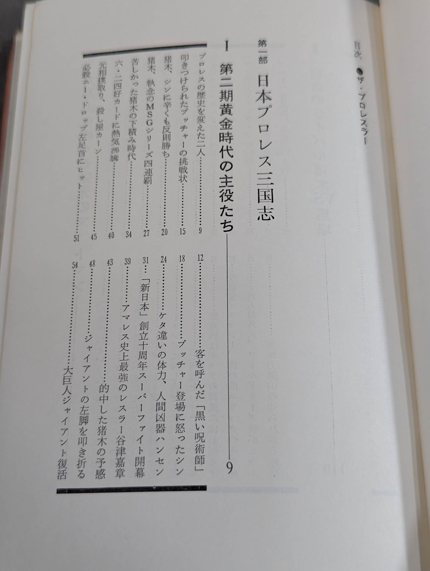 ザ・プロレスラー