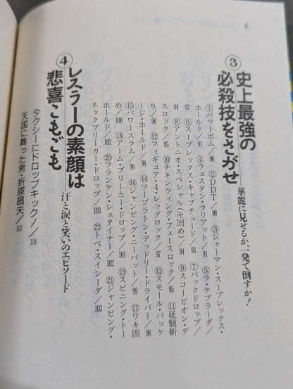 完全保存版 プロレス激闘ハンドブック 燃える男たちの全記録