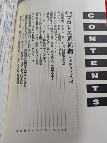 プロレス戦国史 仁義なき戦い