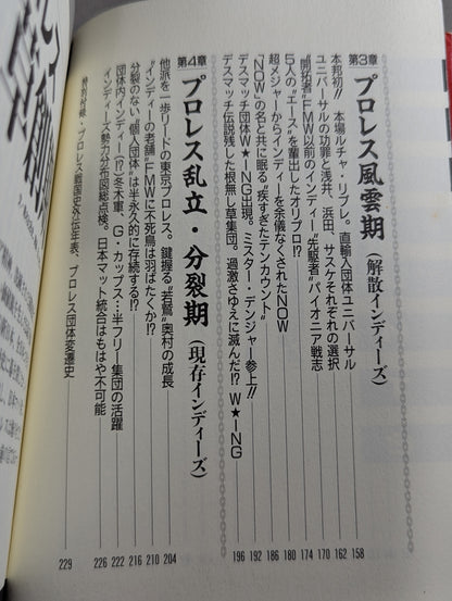 プロレス戦国史 仁義なき戦い