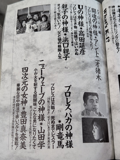 闘え!リングの神々 現代格闘家列伝