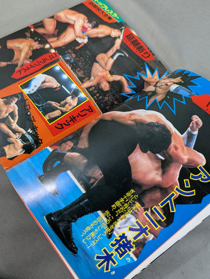 [ビッグジャガーズ] 決定版 プロレス必殺テクニック