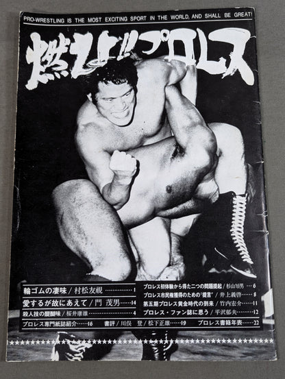 燃えよ!!プロレス