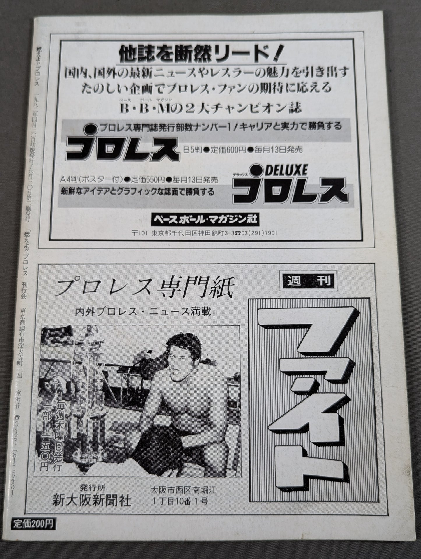 燃えよ!!プロレス