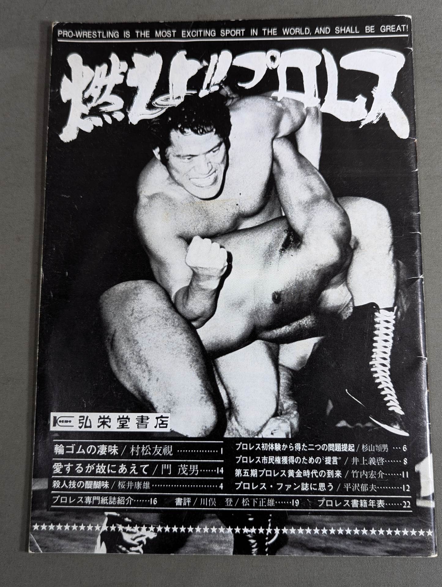 燃えよ!!プロレス