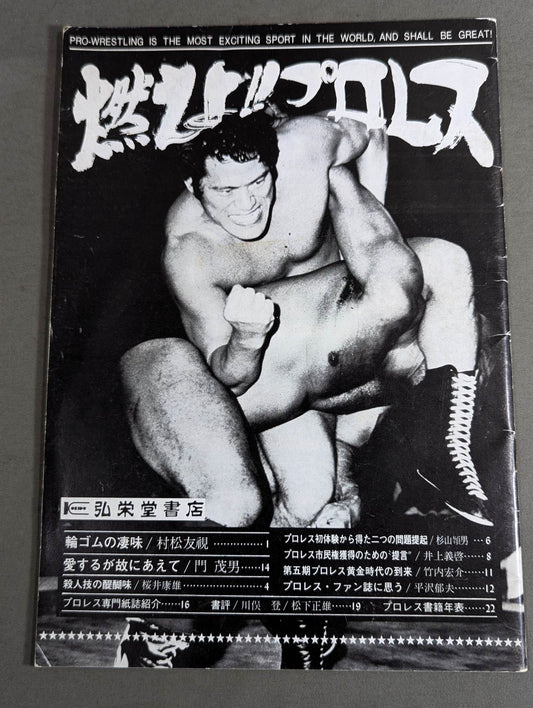 Enter!! Pro Wrestling 