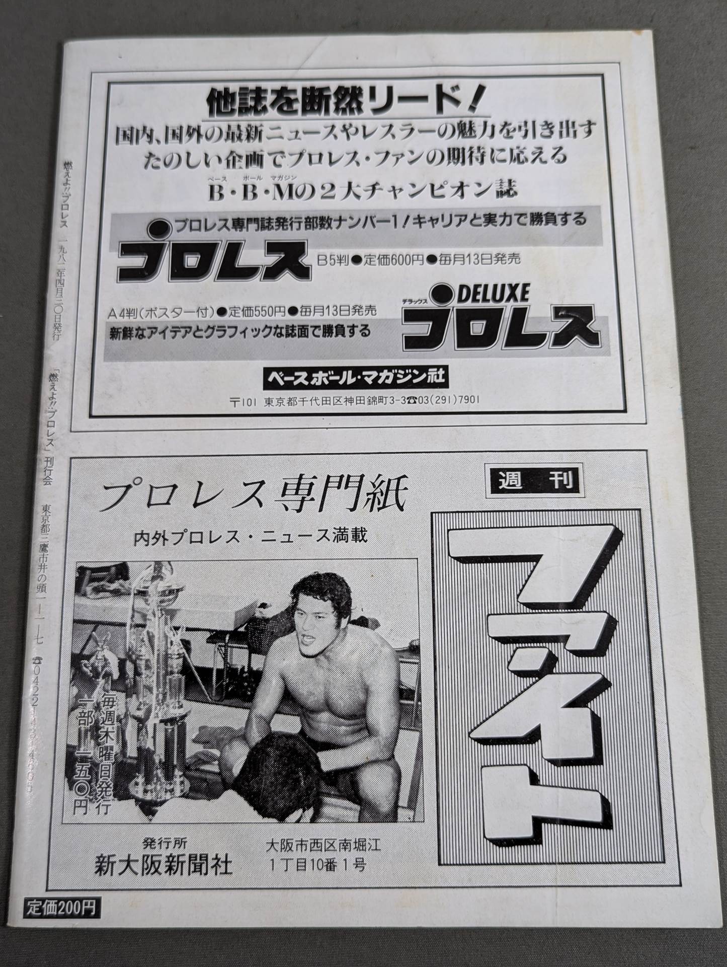 燃えよ!!プロレス