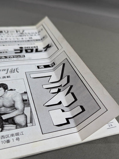 燃えよ!!プロレス