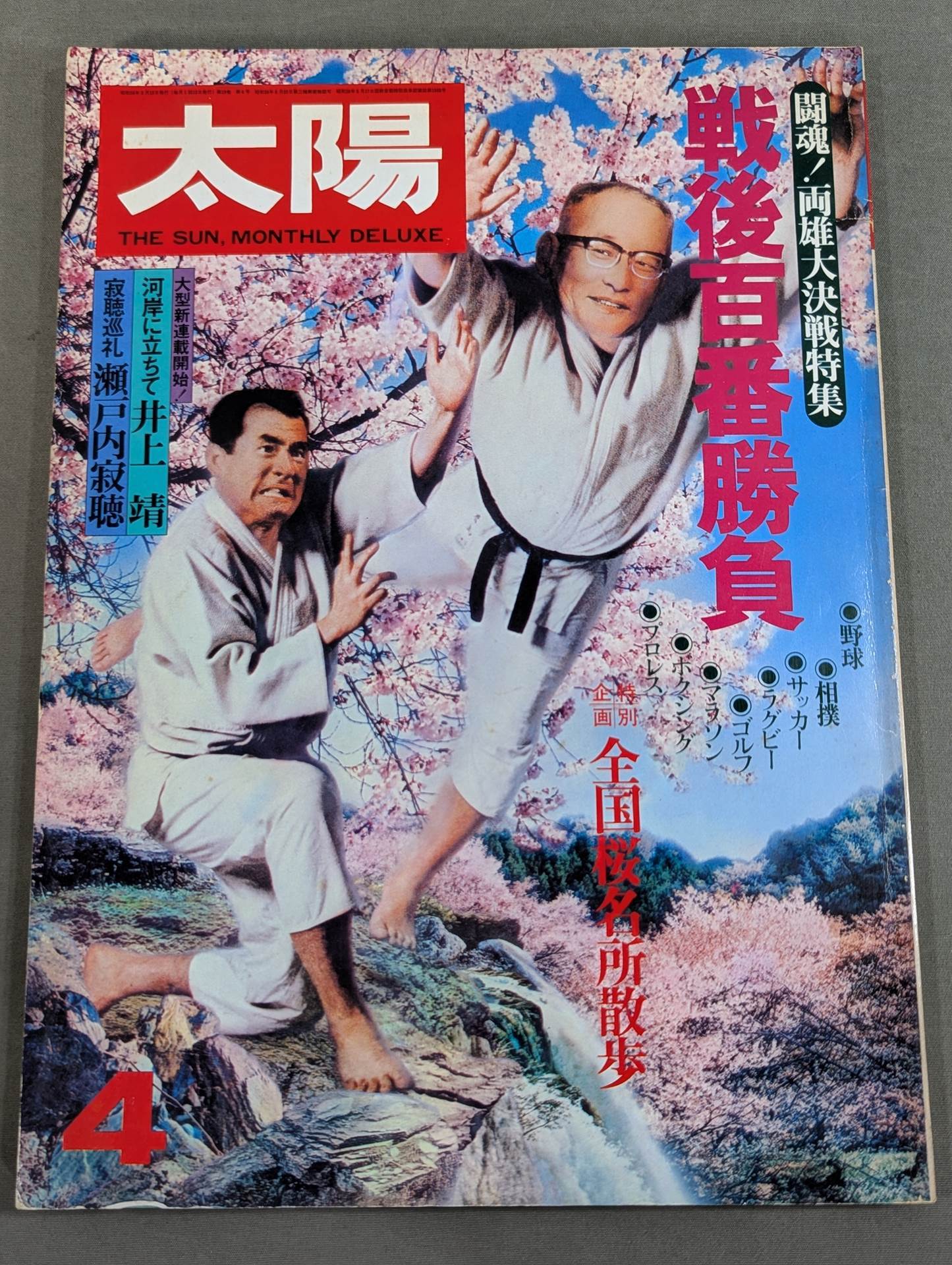 THE SUN '81/4 THE SUN no.217