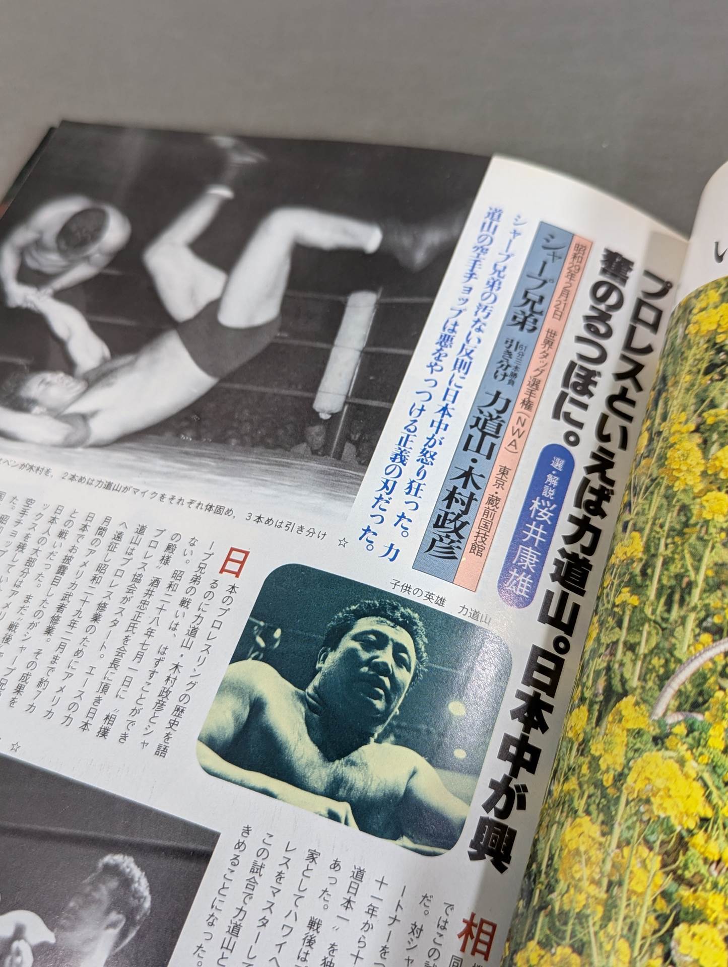 THE SUN '81/4 THE SUN no.217