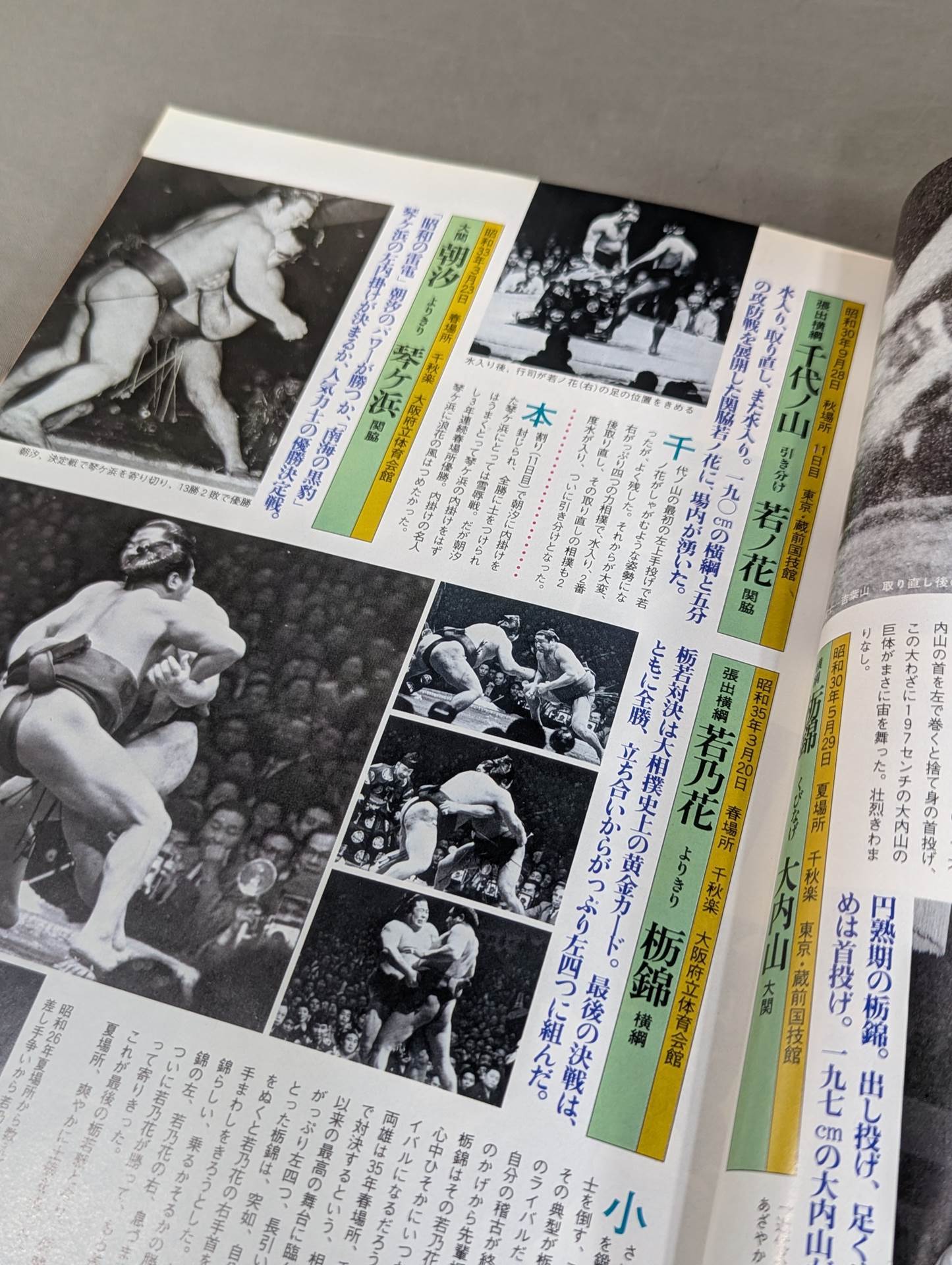 THE SUN '81/4 THE SUN no.217