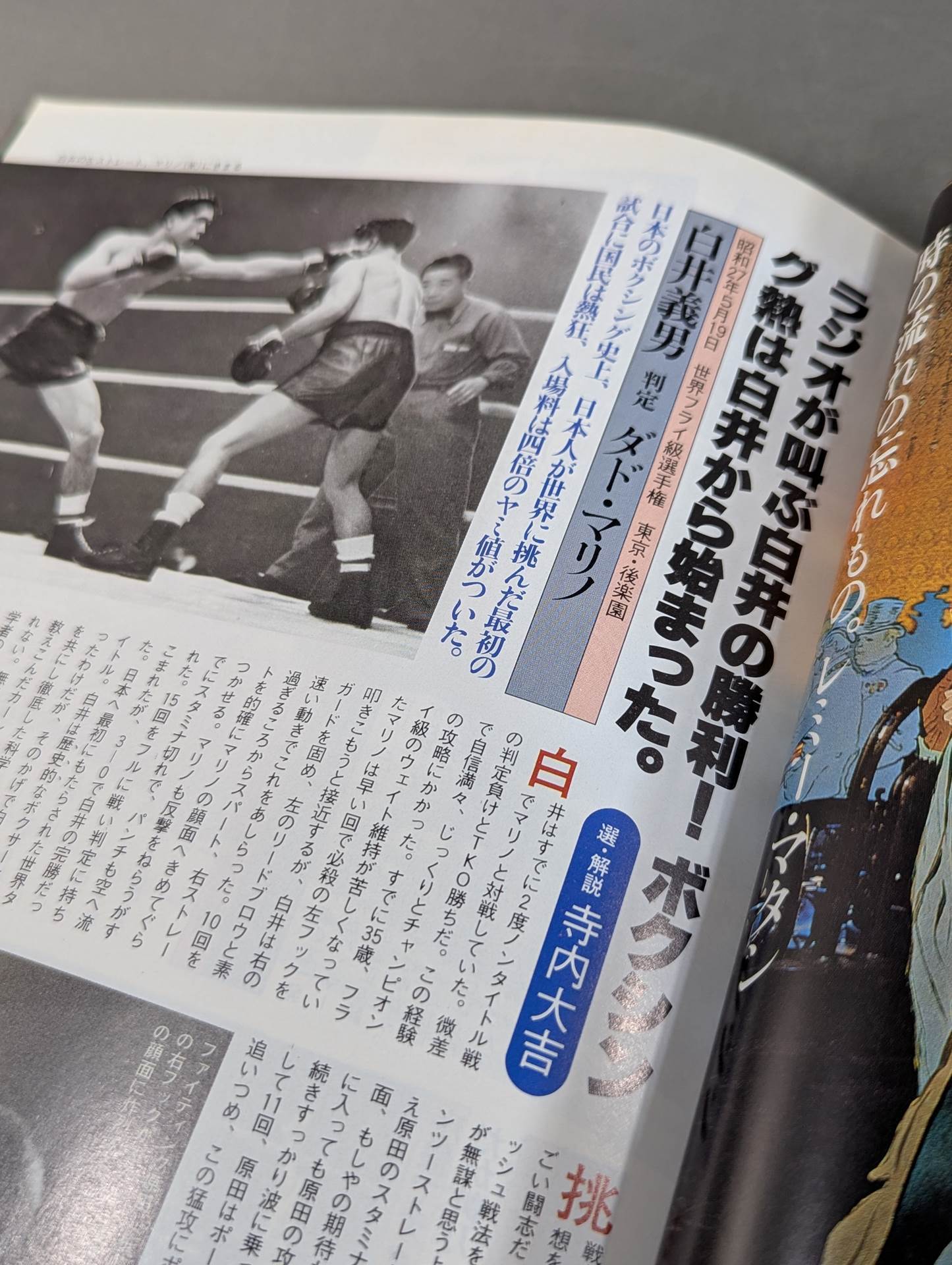 THE SUN '81/4 THE SUN no.217