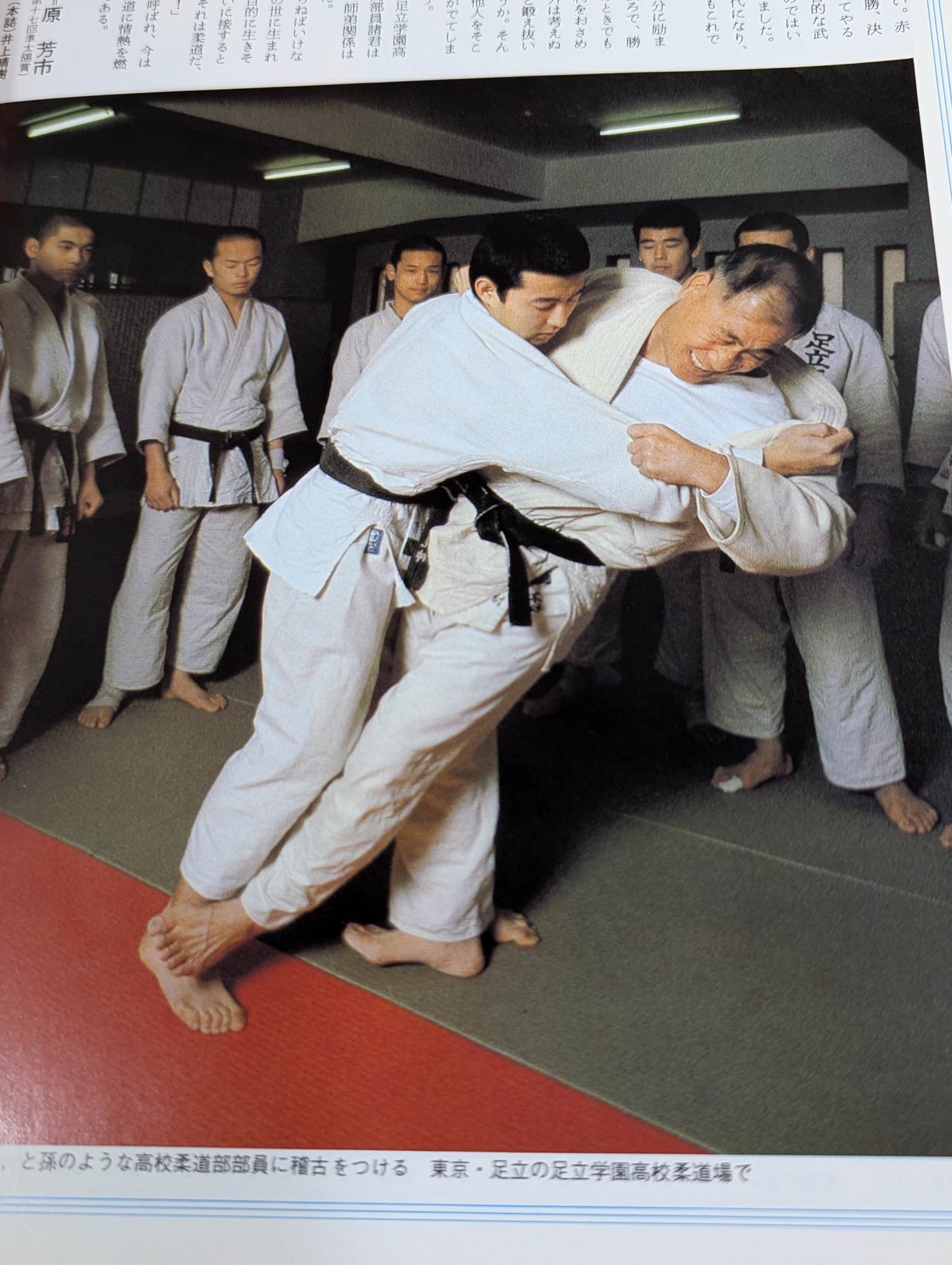 THE SUN '81/4 THE SUN no.217