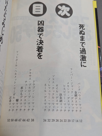 プロレスおもしろマッチ50