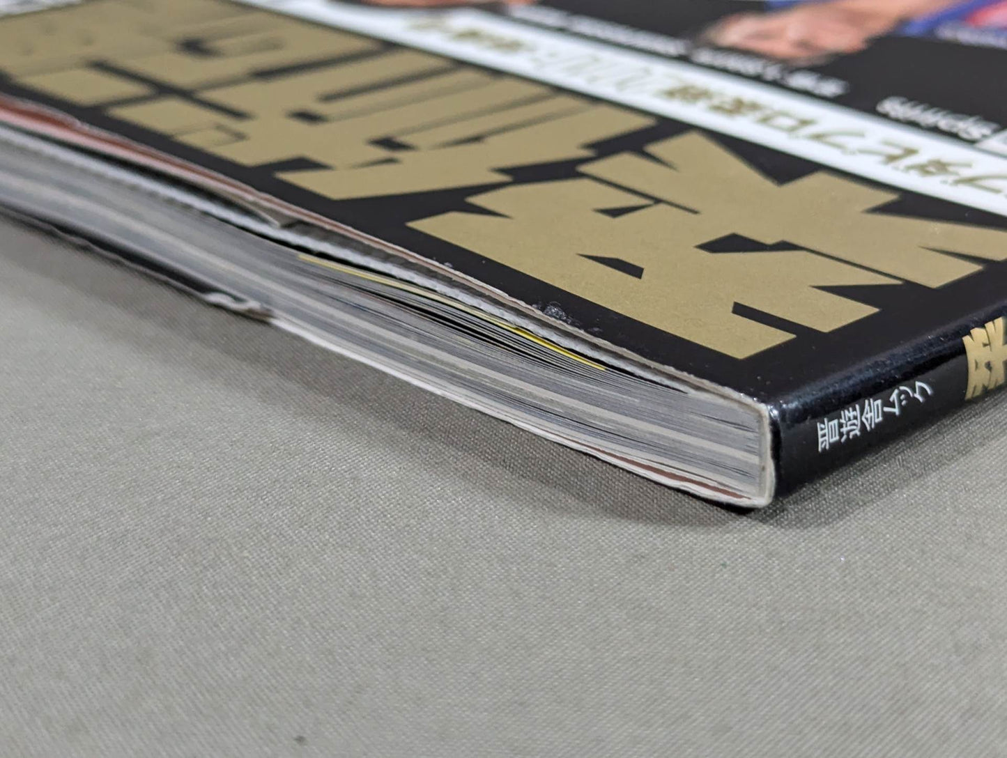 【With DVD】Brazilian Jiu-Jitsu DVD Magazine Jujutsu Spirits SPECIAL Abu Dhabi Jiu-Jitsu 2010 Special Issue