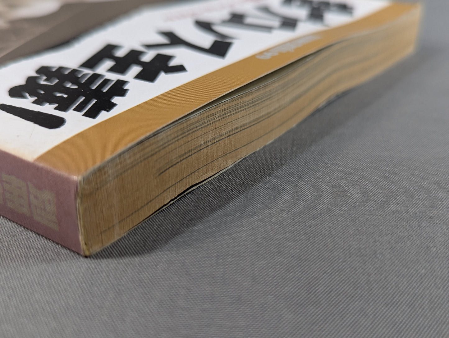 別冊宝島99 超プロレス主義! 格闘王たちのバトルロイヤル