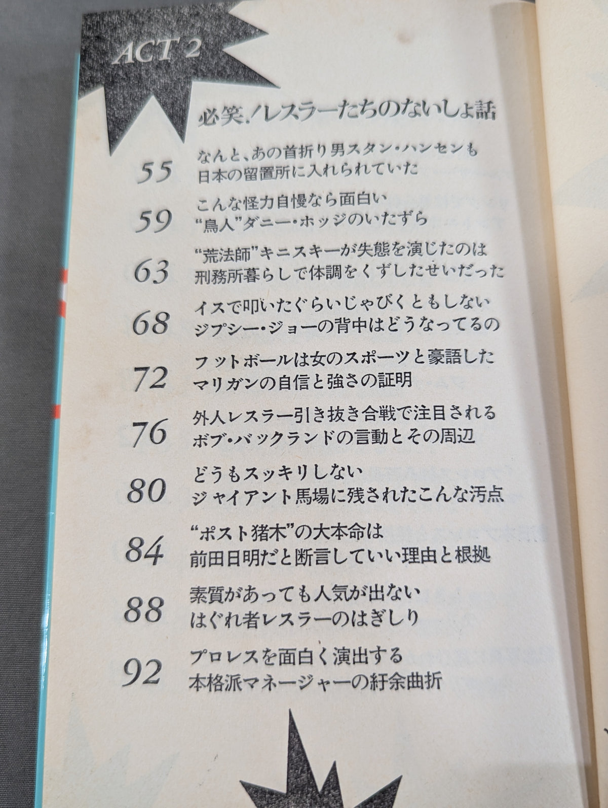 プロレスここまで知ったら立入禁止