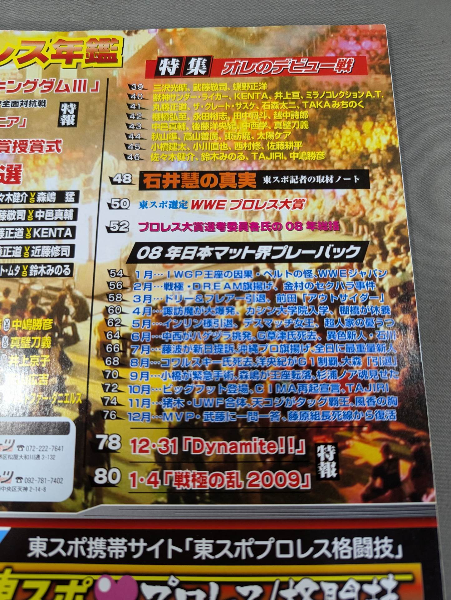 Tospo Permanent Preservation Edition '08 Pro Wrestling  Yearbook