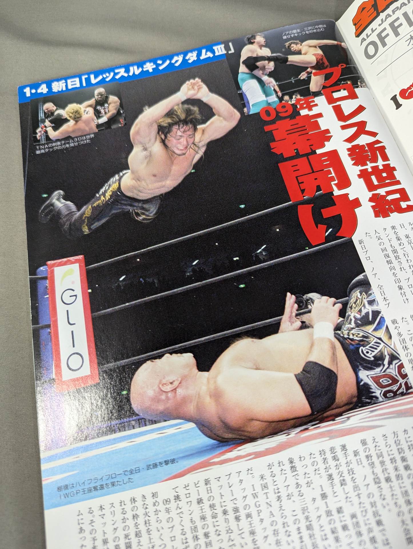 Tospo Permanent Preservation Edition '08 Pro Wrestling  Yearbook