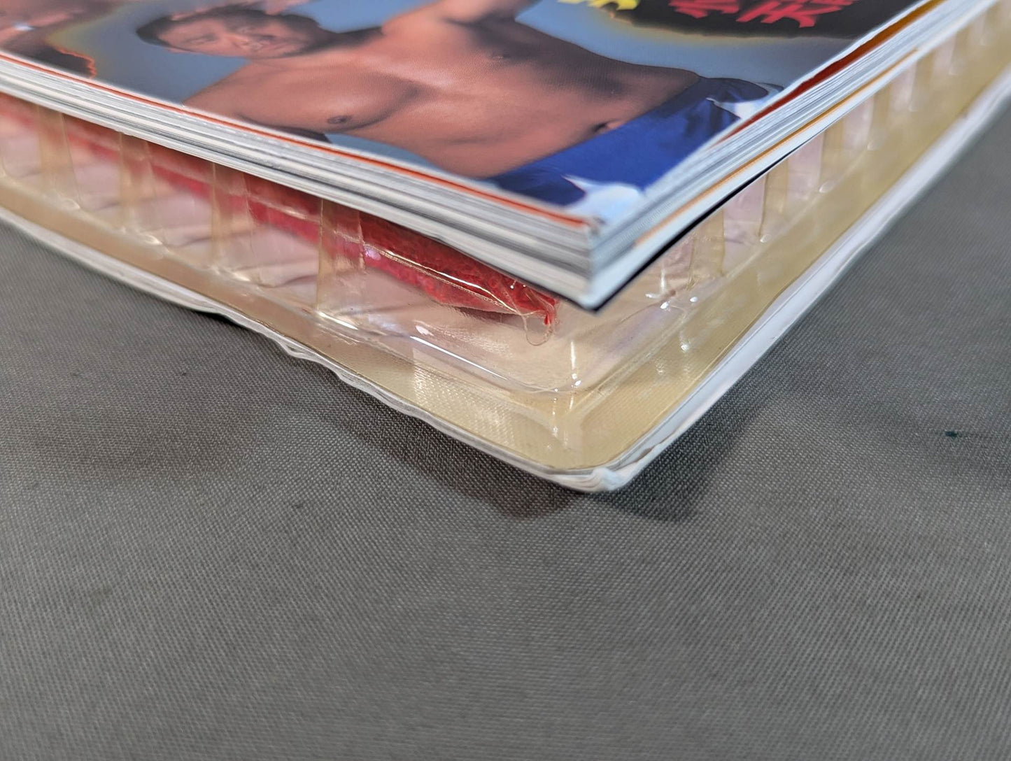 Full version! Pro Wrestling  Legends