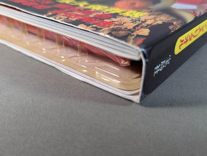 Full version! Pro Wrestling  Legends