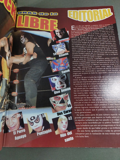 GRANDES FIGURAS DE LA LUCHA LIBRE NUMERO 37