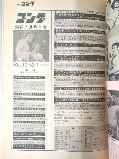 別冊ゴングVol.13 No.7