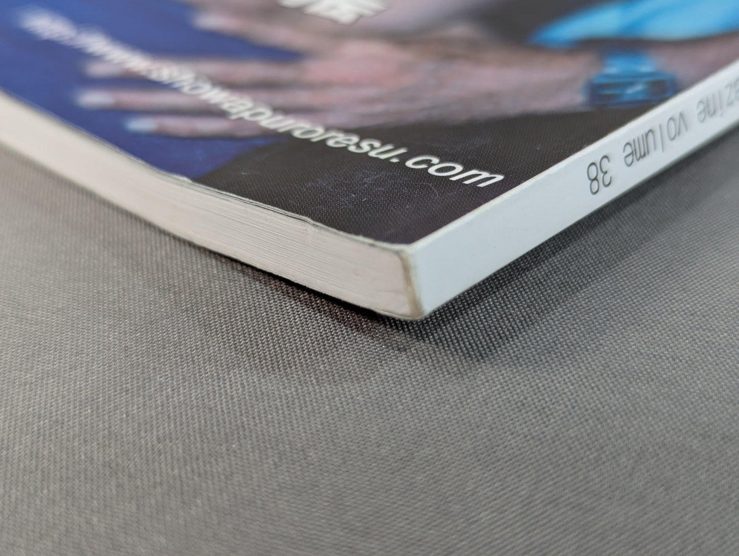 ミック博士の昭和プロレスマガジン第38号 ★特集 プロレス戦国史 1966年★