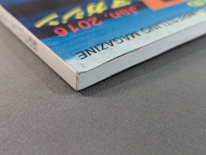 ミック博士の昭和プロレスマガジン第38号 ★特集 プロレス戦国史 1966年★