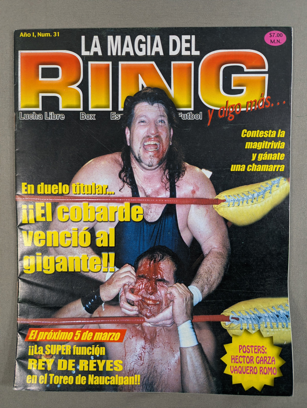 LA MAGIA DEL RING No.31