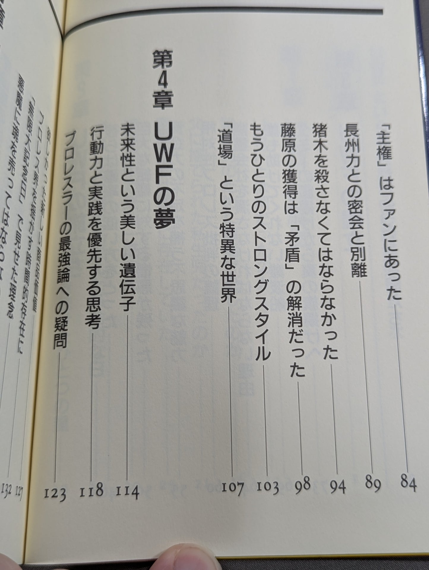 UWFという名の幻想への鎮魂歌(レクイエム)