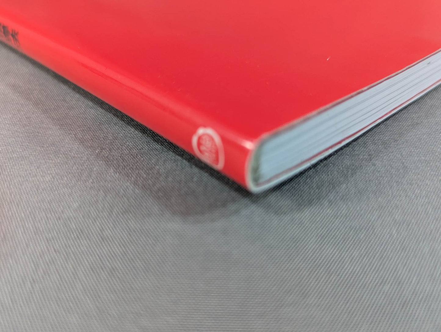 長谷川一幸師範の極真の理と技