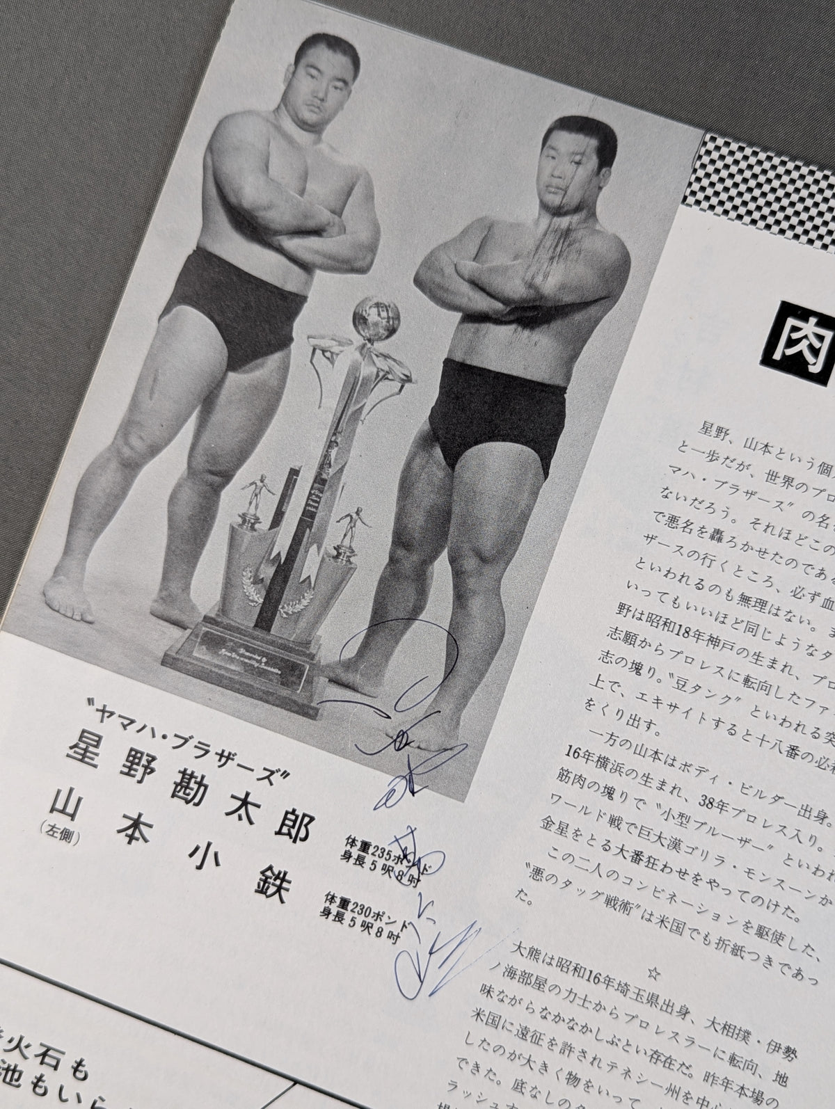 【星野勘太郎 直筆サイン入り】★馬場vsブラッシー インター選手権★ 69第5回ゴールデンシリーズ戦