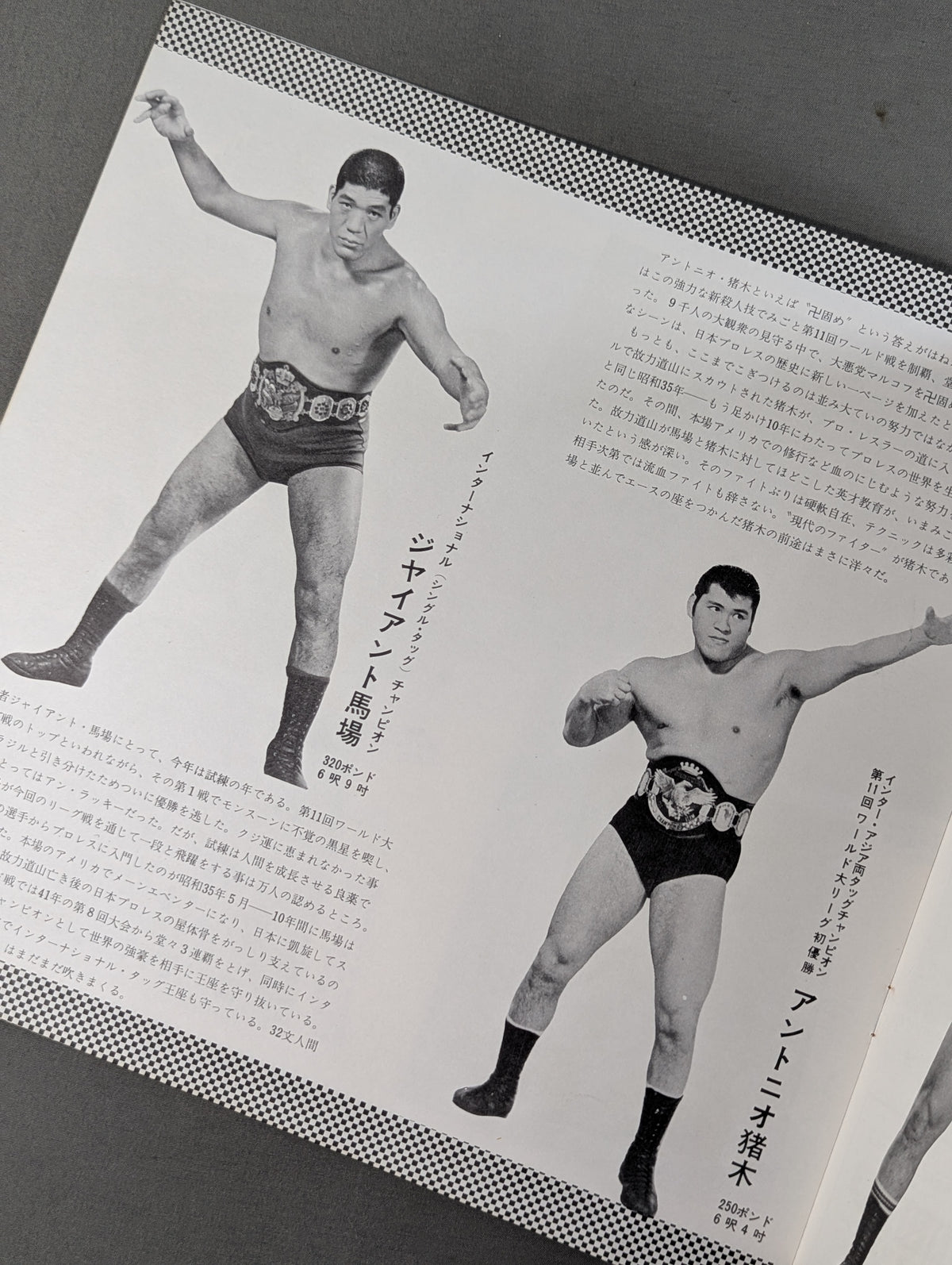 【星野勘太郎 直筆サイン入り】★馬場vsブラッシー インター選手権★ 69第5回ゴールデンシリーズ戦